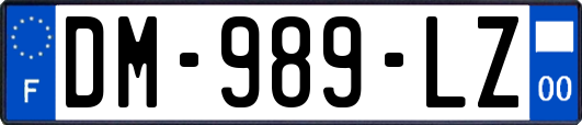 DM-989-LZ