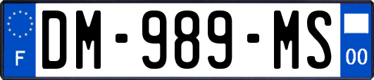 DM-989-MS