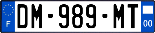DM-989-MT