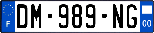 DM-989-NG