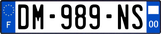 DM-989-NS