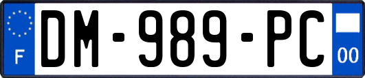 DM-989-PC