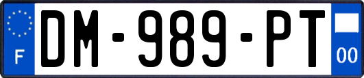 DM-989-PT
