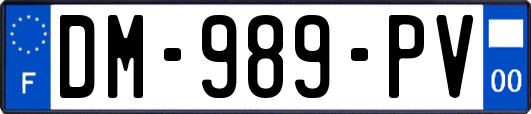 DM-989-PV