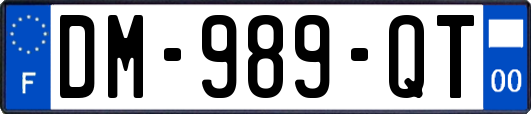 DM-989-QT