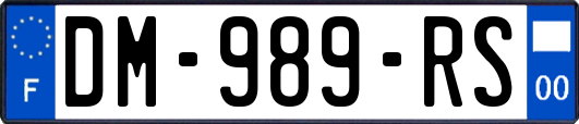 DM-989-RS