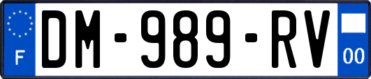DM-989-RV