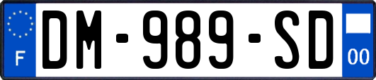 DM-989-SD