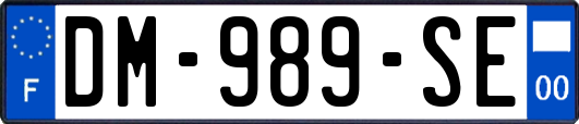 DM-989-SE