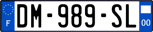 DM-989-SL
