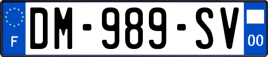 DM-989-SV