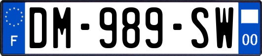 DM-989-SW