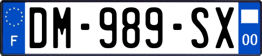 DM-989-SX