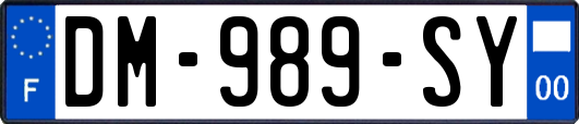 DM-989-SY