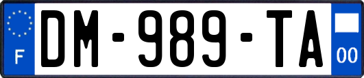 DM-989-TA