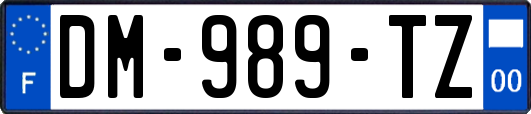 DM-989-TZ