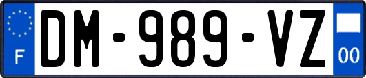 DM-989-VZ