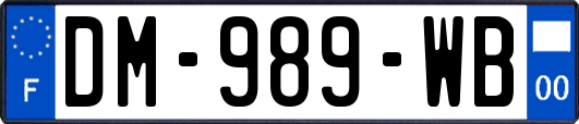 DM-989-WB