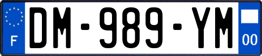 DM-989-YM