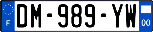 DM-989-YW