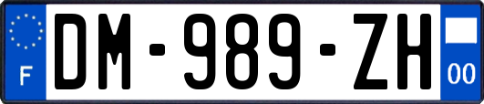 DM-989-ZH