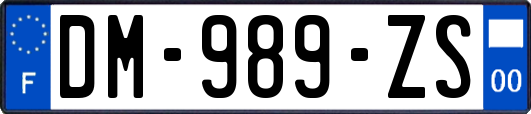 DM-989-ZS