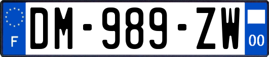 DM-989-ZW