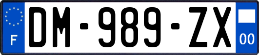 DM-989-ZX