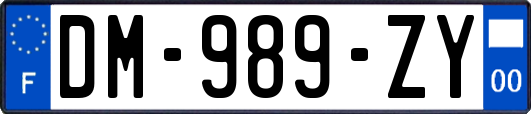 DM-989-ZY