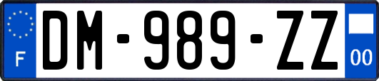 DM-989-ZZ