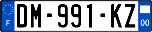 DM-991-KZ