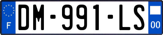DM-991-LS