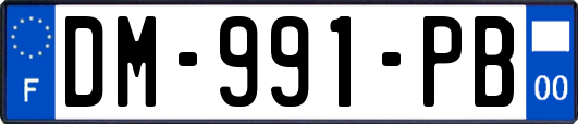 DM-991-PB