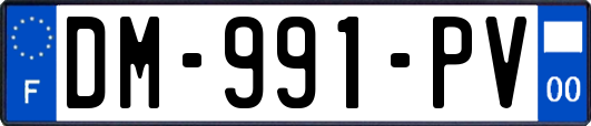 DM-991-PV