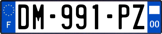 DM-991-PZ