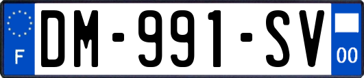 DM-991-SV