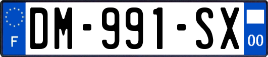DM-991-SX