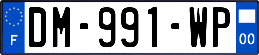 DM-991-WP