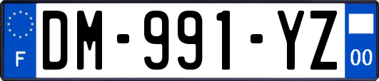 DM-991-YZ