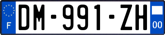 DM-991-ZH