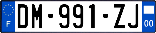 DM-991-ZJ