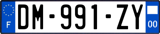 DM-991-ZY