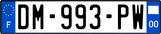 DM-993-PW