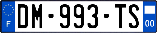DM-993-TS