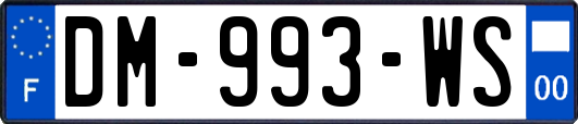 DM-993-WS