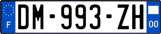 DM-993-ZH