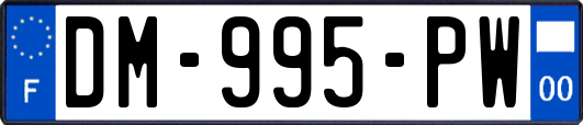 DM-995-PW