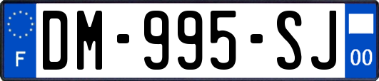 DM-995-SJ