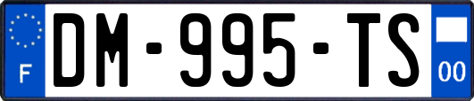 DM-995-TS