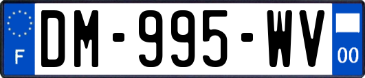 DM-995-WV